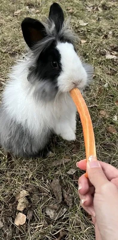 长白山怎么选酒店,长白山旅游攻略长白山西坡酒店