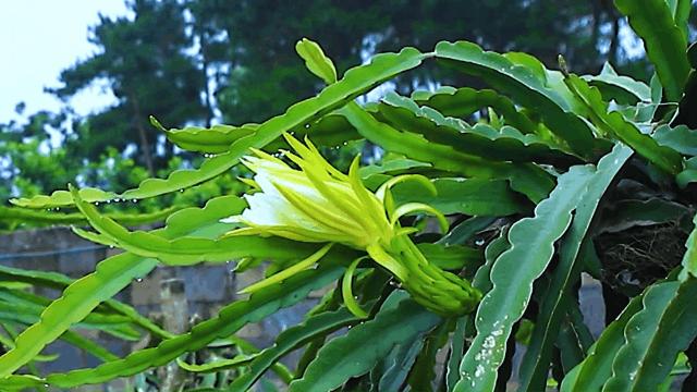 钟山水墨画廊附近旅游攻略,钟山水墨画廊自驾游