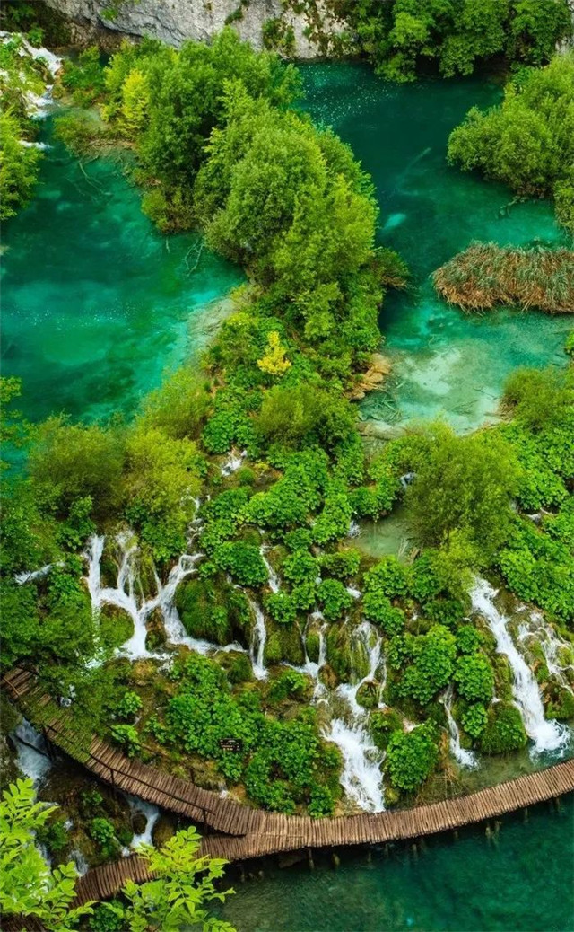 缓解眼睛疲劳动态图壁纸,好看的手机壁纸护眼高清图文