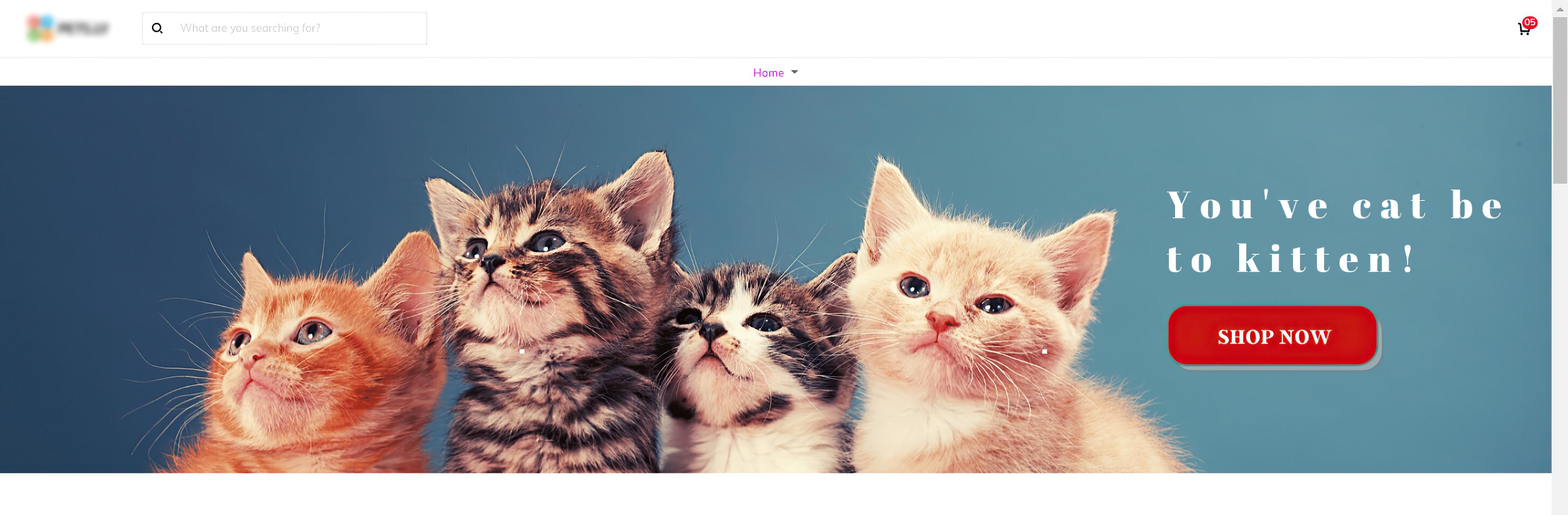 在Covid-19大流行期间，玛丽如何通过Dropshipping卖货126927美元