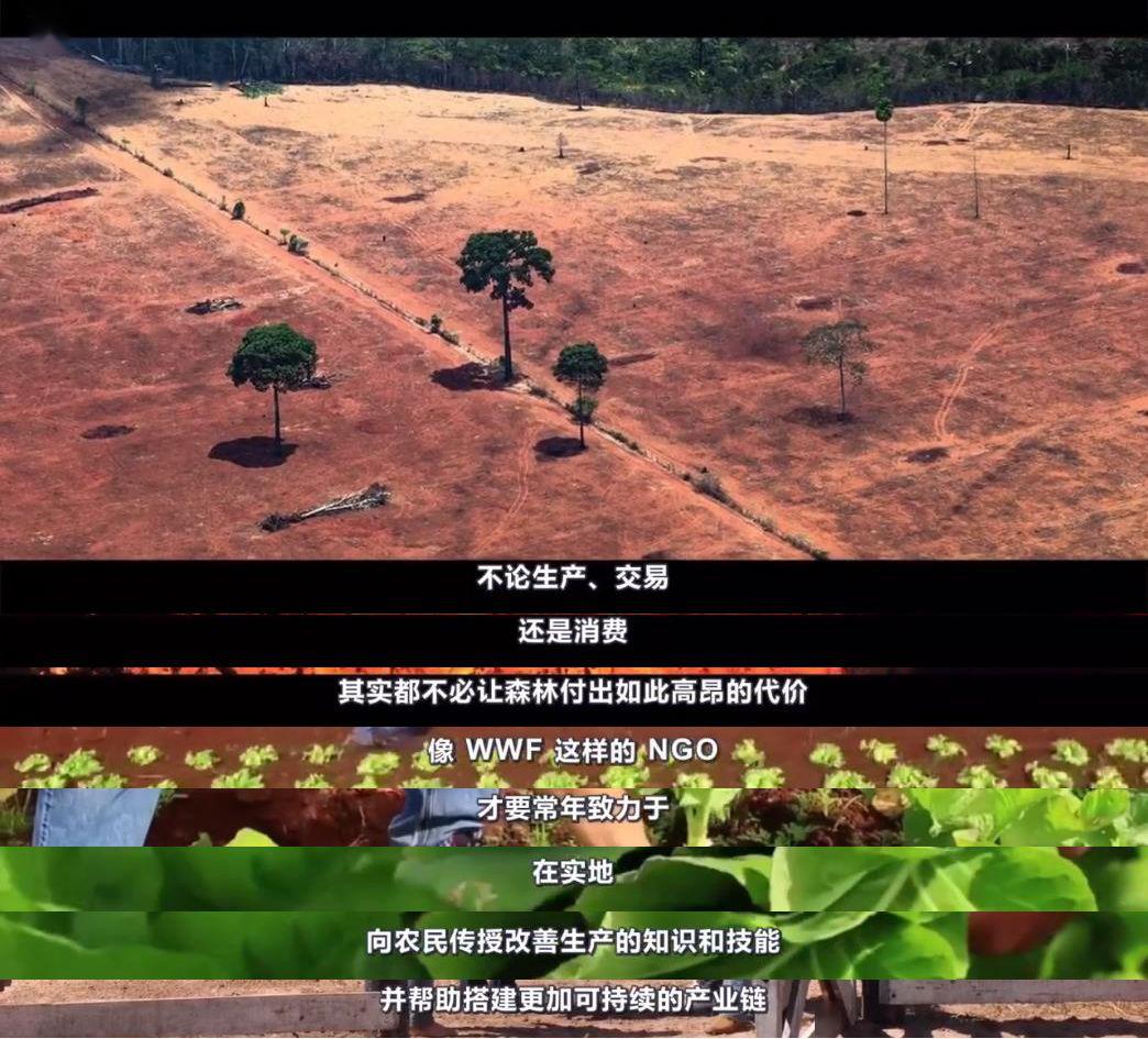 中国人吃肉对巴西有影响吗,中国人吃肉影响巴西雨林生态环境