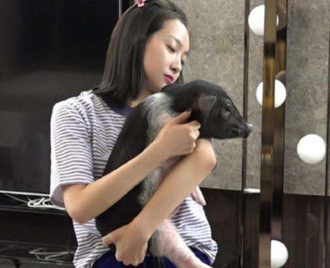 王鸥林允,王鸥宋茜哪个更漂亮