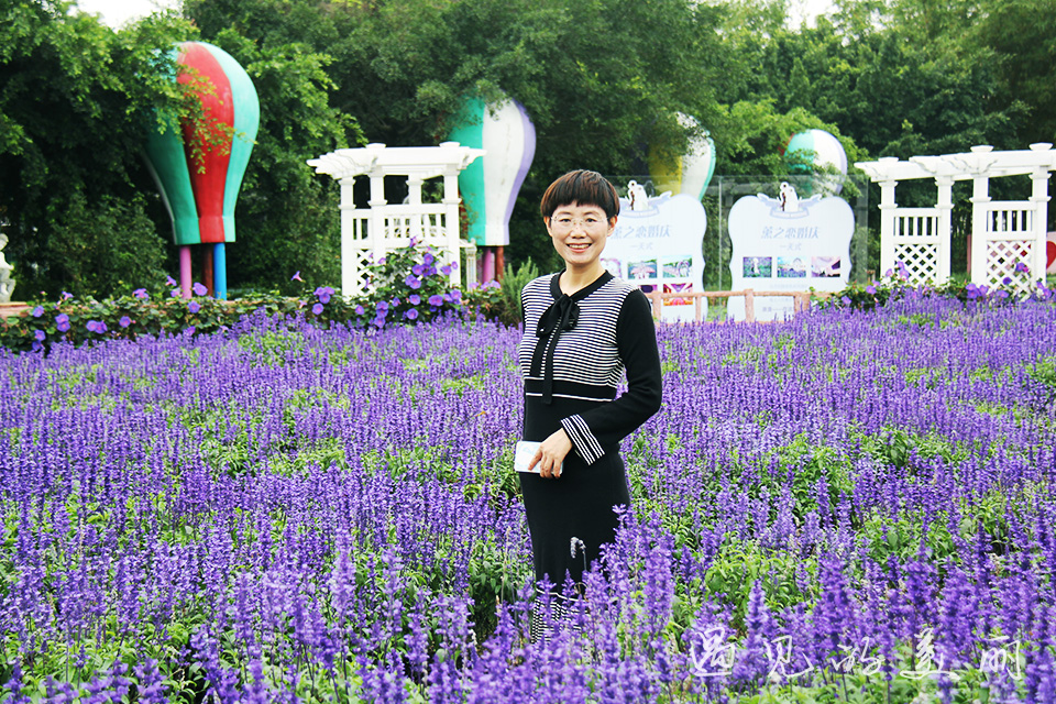 百万葵园有多坑,百万葵园免门票