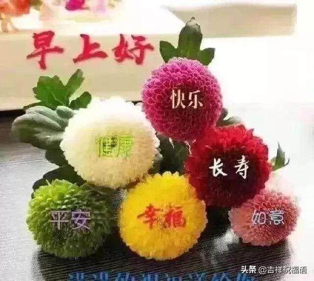 超暖心早上好问候祝福语唯美图片,温馨的祝福暖心的问候早上好图