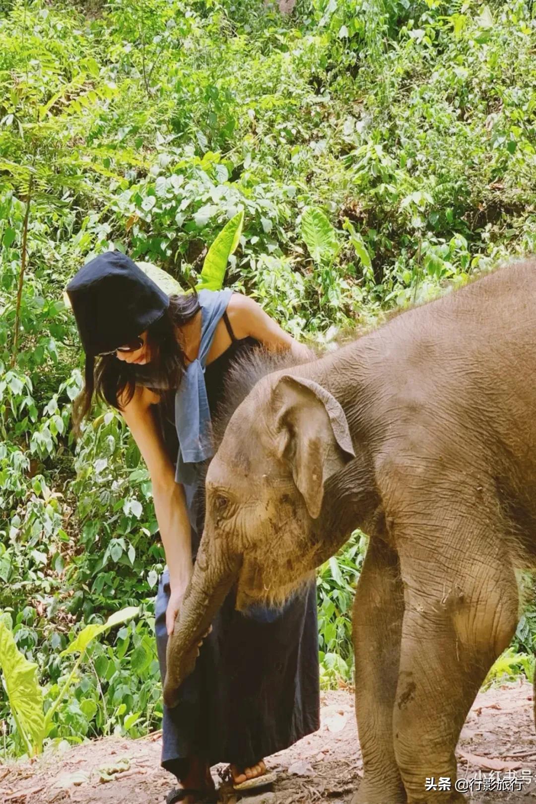 介绍一下云南的西双版纳,云南西双版纳的介绍景点