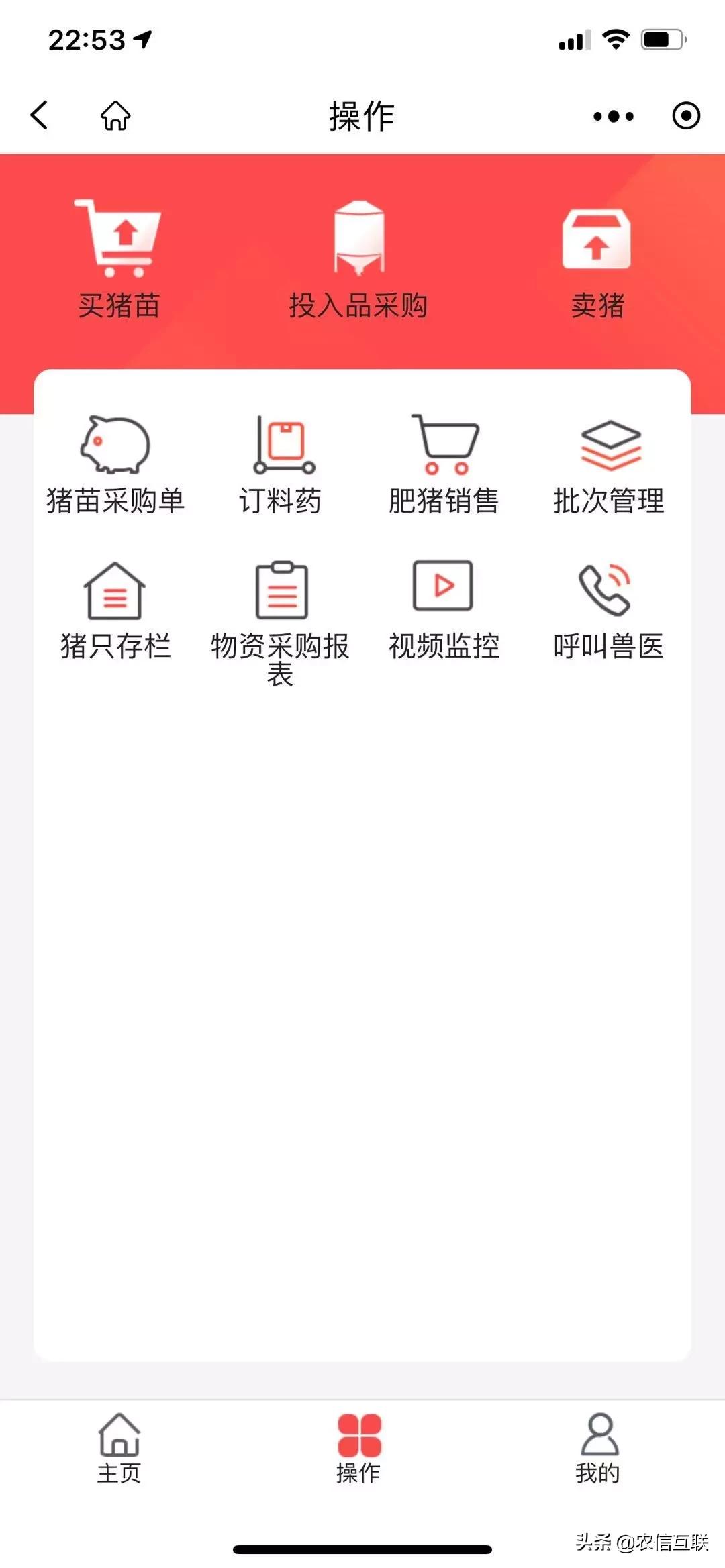 养猪养殖创业,养猪的盈利模式