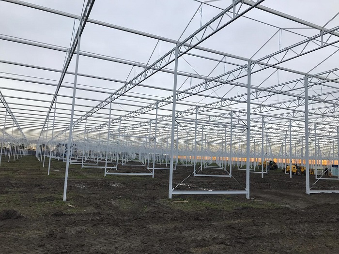 蔬菜玻璃温室大棚的造价,玻璃温室大棚建设厂家橘子测试