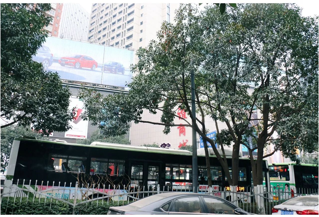 难忘东塘！繁华是你，回忆也是你