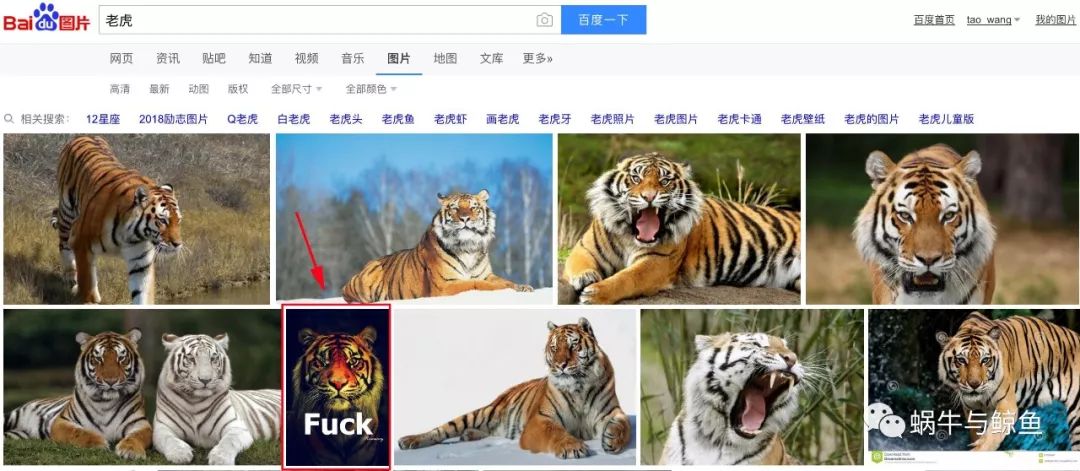 中国最大的互联网市场,国内最大互联网市场