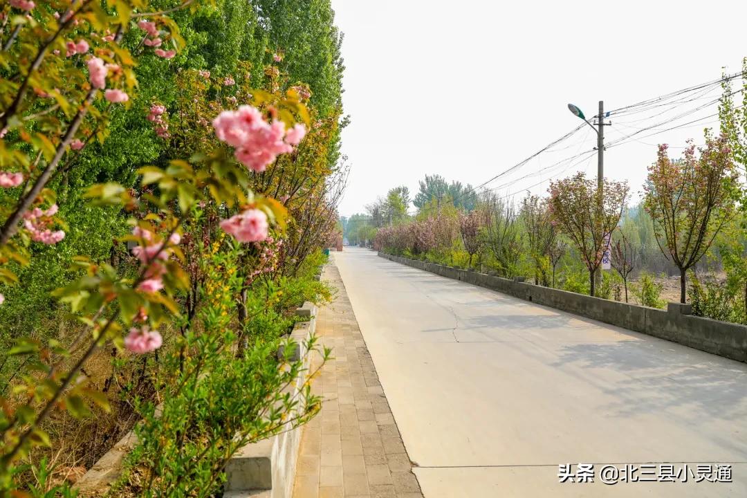 民宿木屋采摘园,休闲观光特色民宿生态采摘