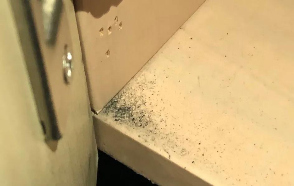 饮水机出了一只蟑螂怎么办,饮水机接出来的蟑螂能活多久