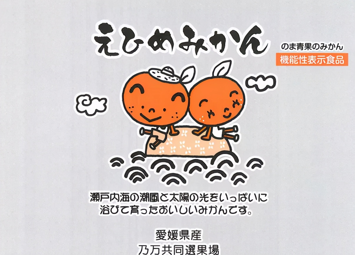 日本功能性原料,功能性原料市场