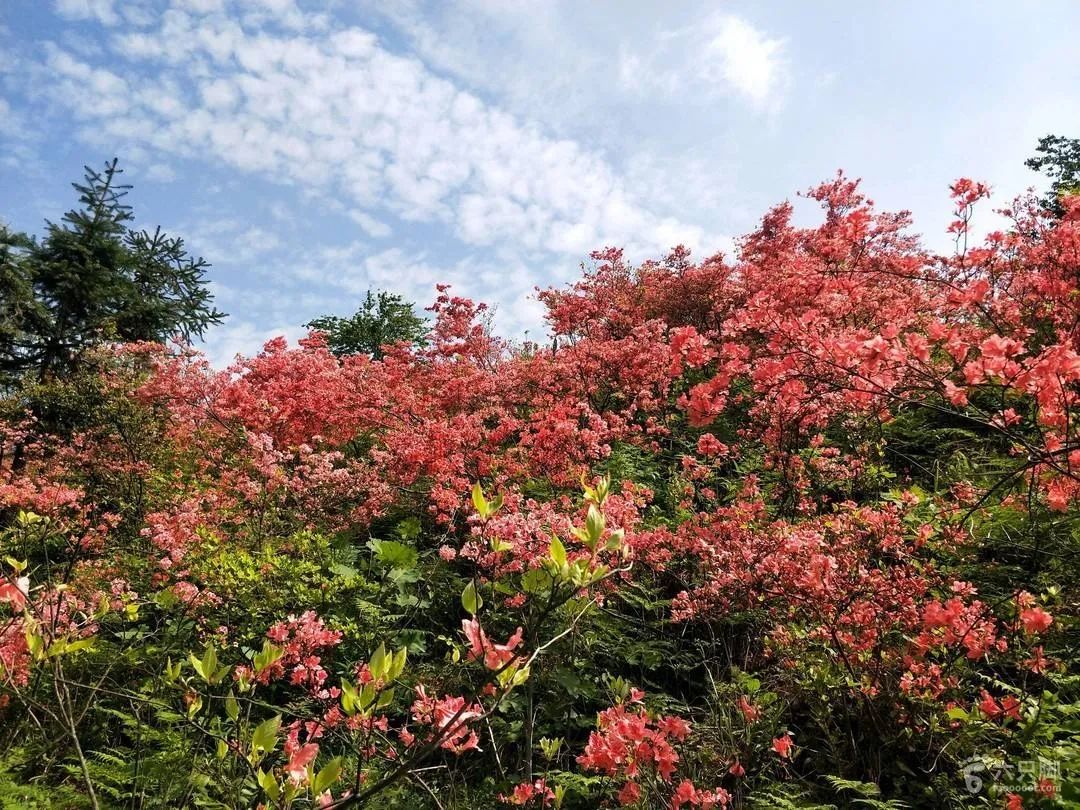 香港马鞍山游玩,香港马鞍山旅游攻略