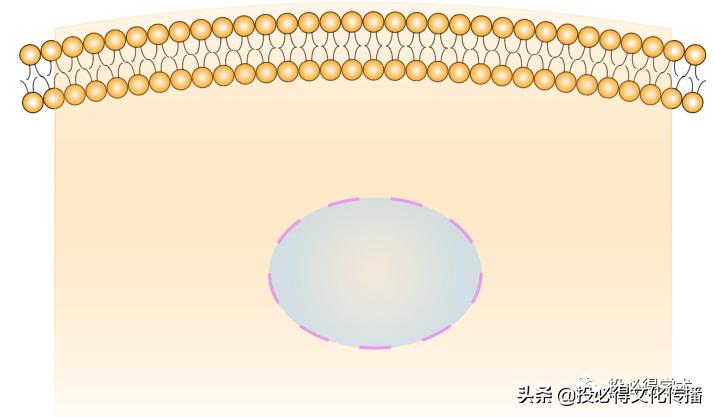 ppt还是ai适合做科研论文图,科研论文作图系列教程2