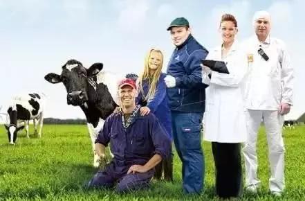 哪些奶粉使用的是大包粉,奶粉选择大包粉