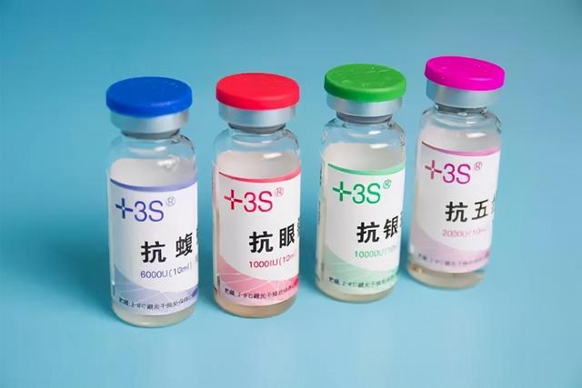 7斤重五步蛇与狗撞上,狗赶蛇不成被咬身亡!和眼镜蛇比它更毒?