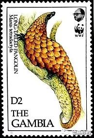 童正祥：邮票上的穿山甲故事