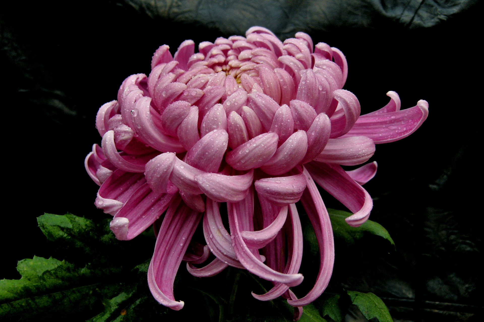 微信好友借钱不还怎么办,微信上借钱给别人不还怎么办