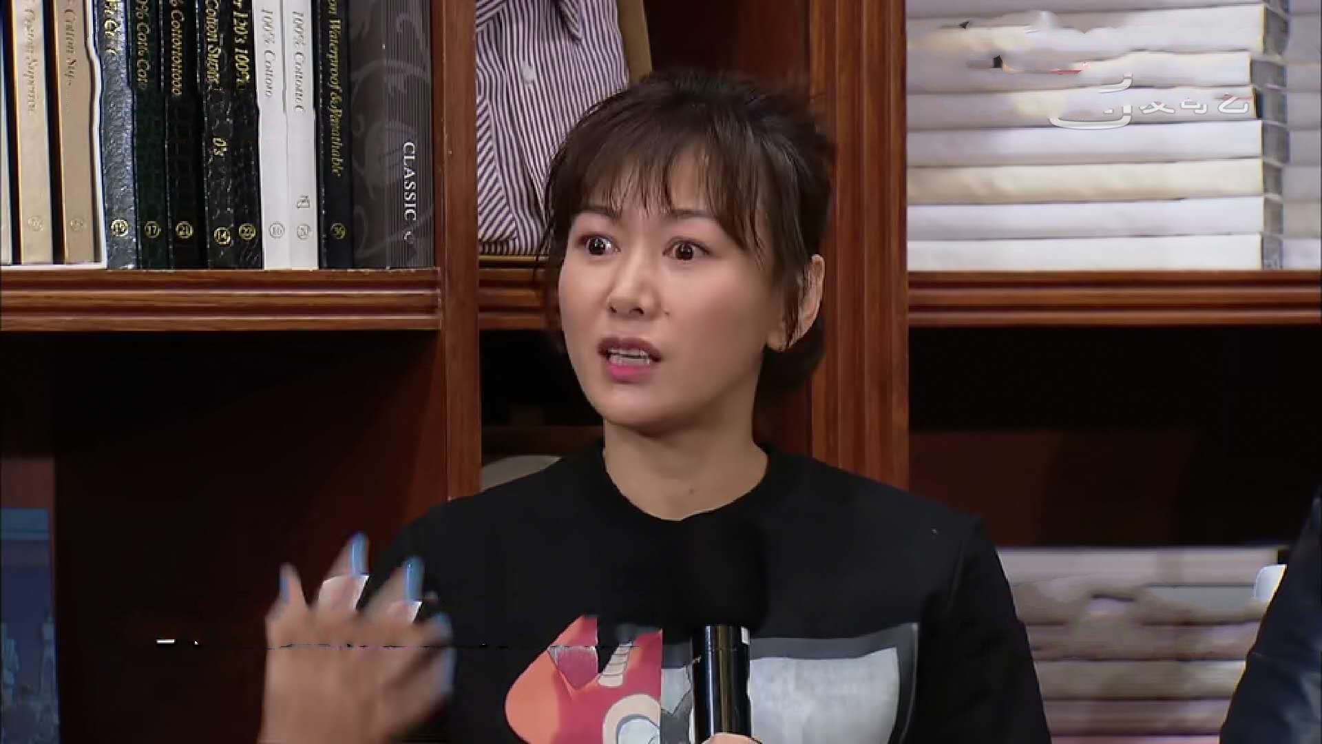 柳云龙罗海琼主演的电视剧风筝,柳云龙风筝专访柯蓝