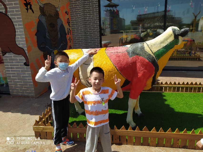 丰宁坝上自驾一日游攻略,丰宁坝上草原游玩攻略