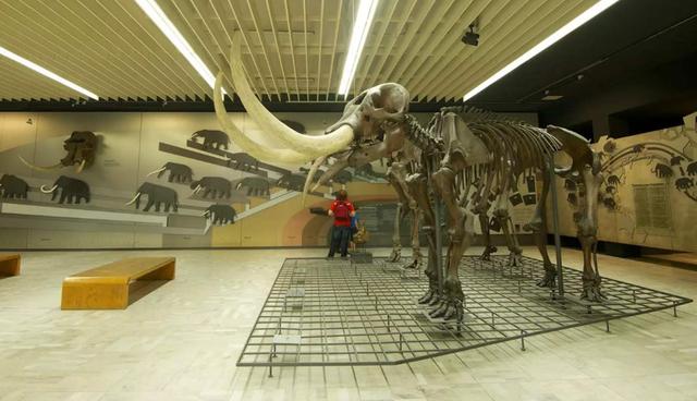 为什么北大专业那么少,北大只有一个人的专业