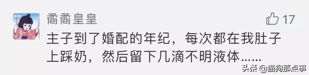 爱我，就给我舔屁股吧