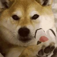 超爱的一款面膜推荐给大家,推荐一款良心面膜好用的