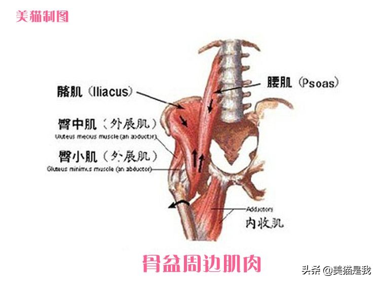 长短腿跟腿型能矫正吗,长短腿矫正锻炼方法左腿长右腿短