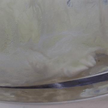 橘子的家族历史,橘子家族历史