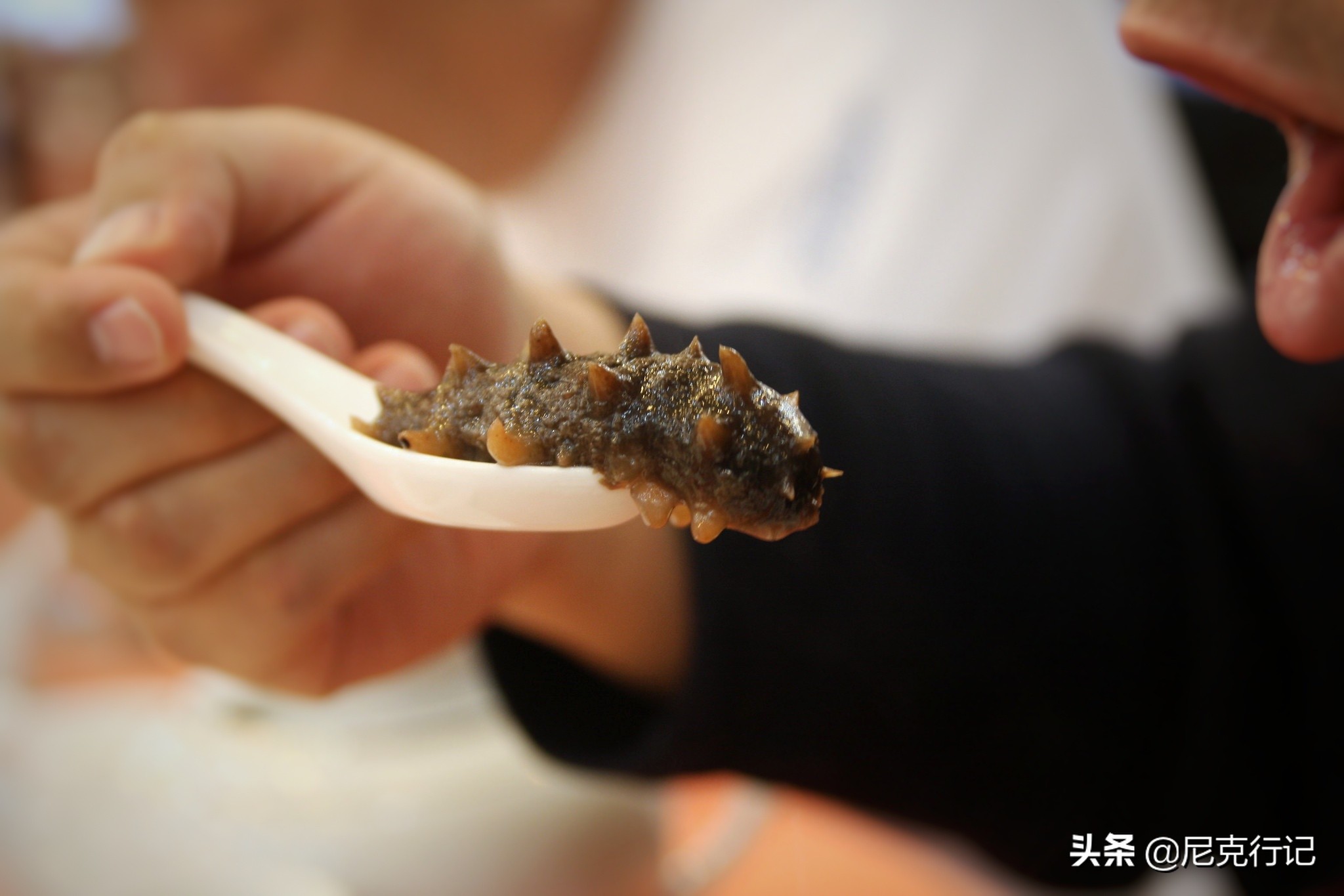 龙口的桑岛是活火山吗,龙口最大岛屿
