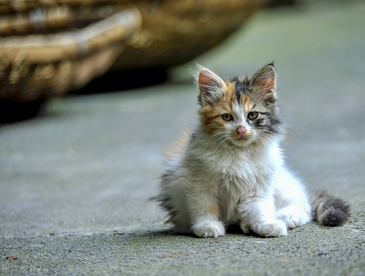 妯娌相处的四个要点,高情商妯娌相处