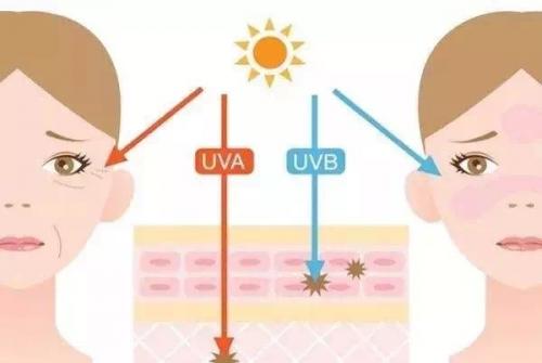 StayTuned香港网购平台：教你夏天如何又白又瘦