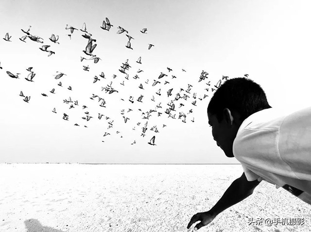 ippa摄影大赛年度总冠军,ippa摄影大赛2014