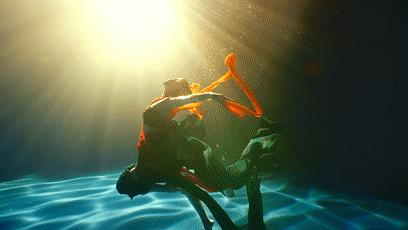 杀疯河南卫视,河南卫视杀疯了是什么梗