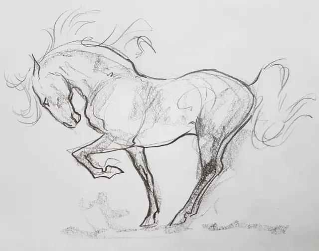 速写简笔画马,画速写不需要临摹