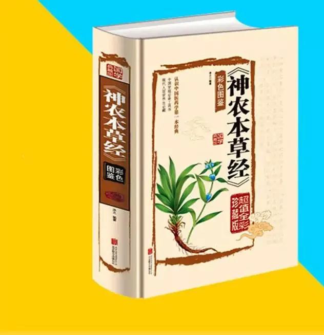 家乡一种有特色的植物,家乡有野生植物