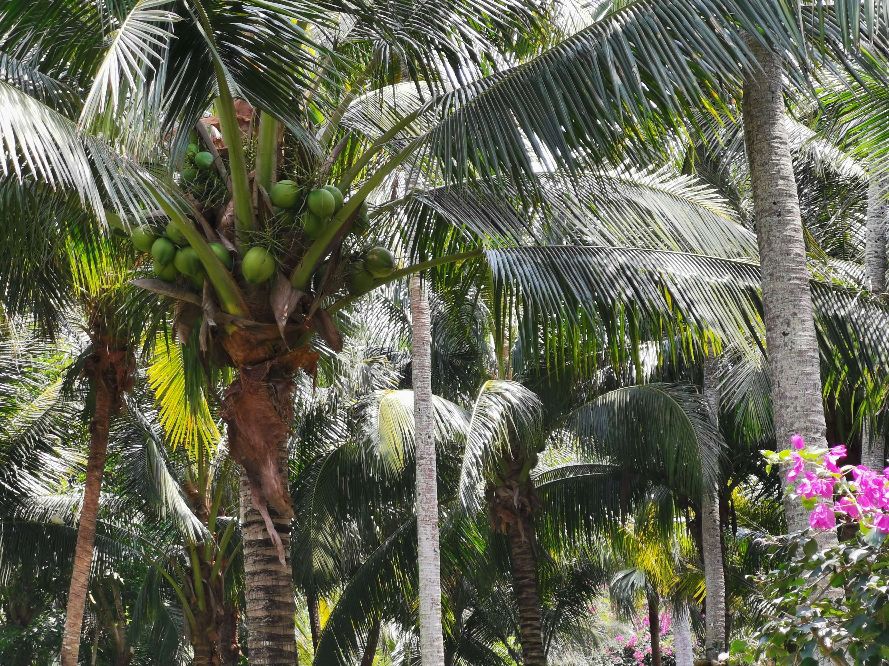 中国最大马尔代夫蜈支洲岛,中国马尔代夫蜈支洲岛视频