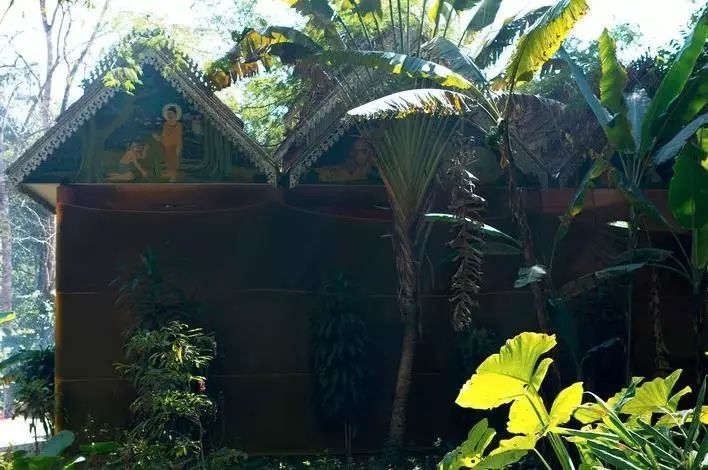 西南边境上的神秘潘多拉，比西双版纳还美，一不小心就出国