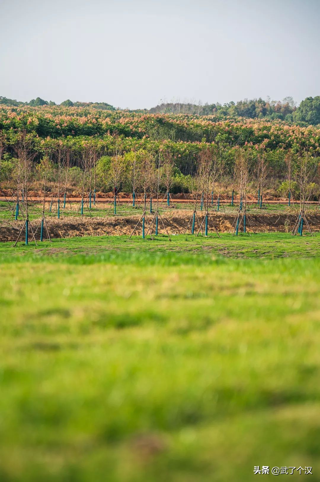 武昌向南择墅而居,这或许是你离理想生活最近的一次