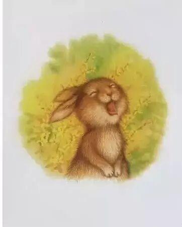 培养3至4岁幼儿逻辑思维的绘本,读绘本引导孩子的思维