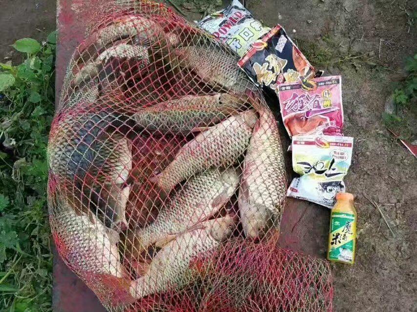 酒米多种吃法,野钓鲫鱼不停打酒米