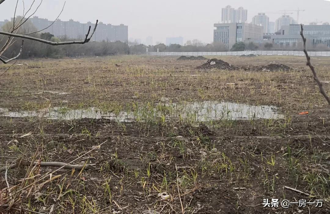 开发区新楼盘未来情况怎么样,高新区土地供应不足