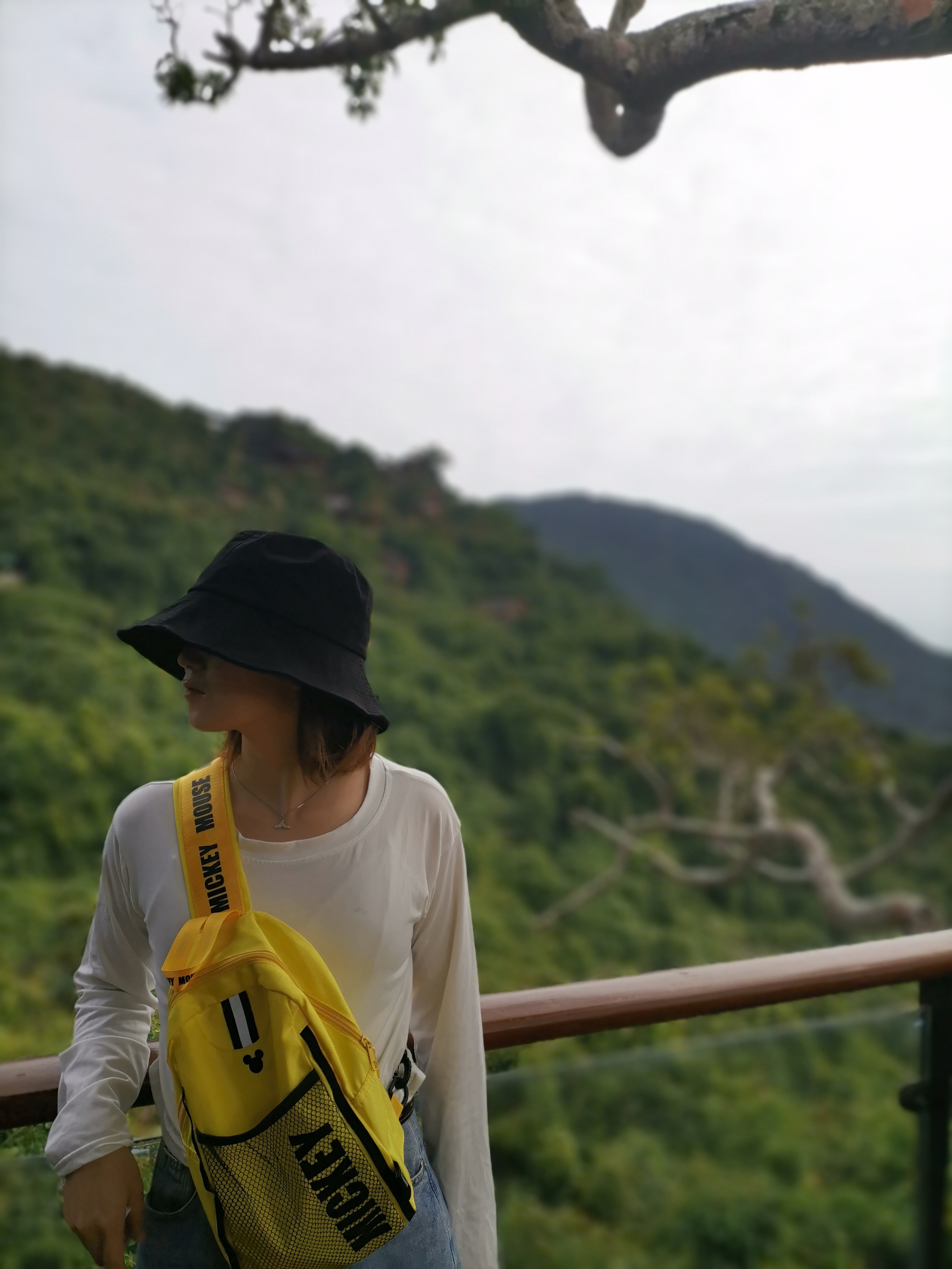 去了海南三亚,去完三亚热带森林公园可以逛哪里