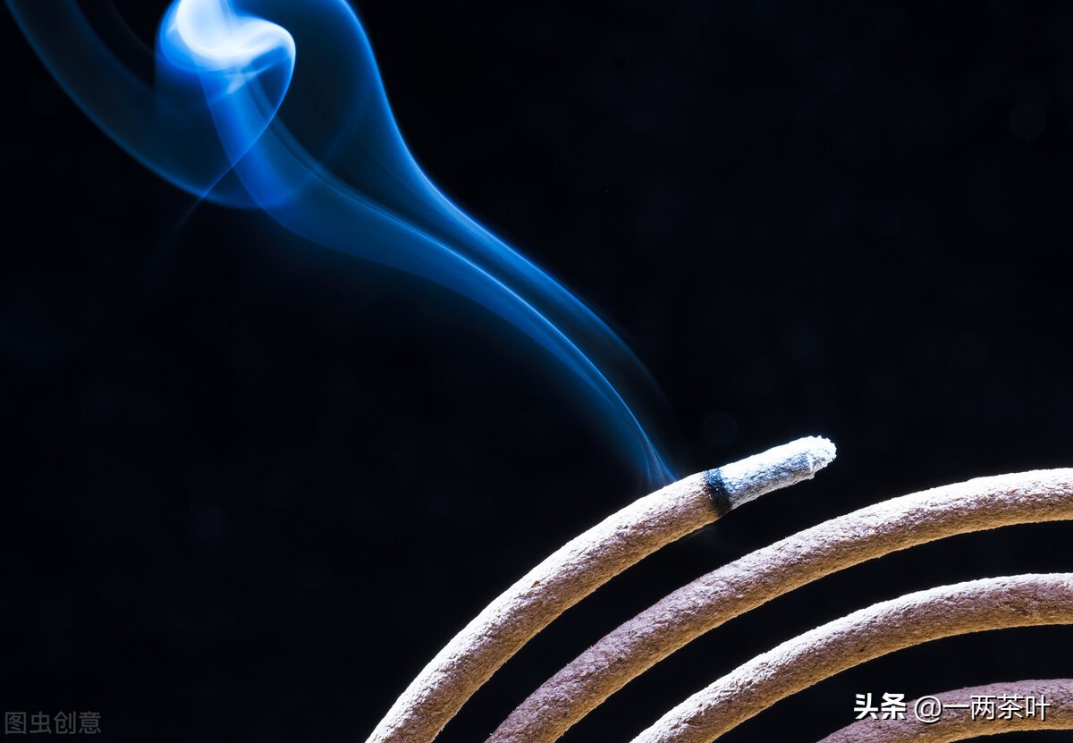 灏忚楸煎,楸煎灏忚