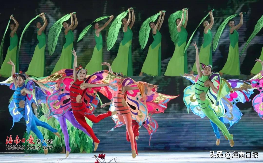 8月5日海南新闻,1月20日海南省内新闻