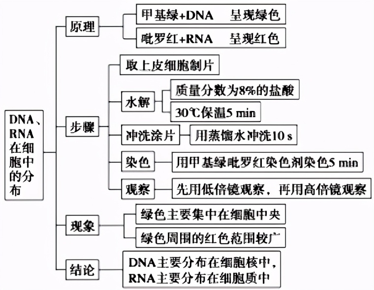 高中生物实验及其作用总结,高中生物实验要点归纳图