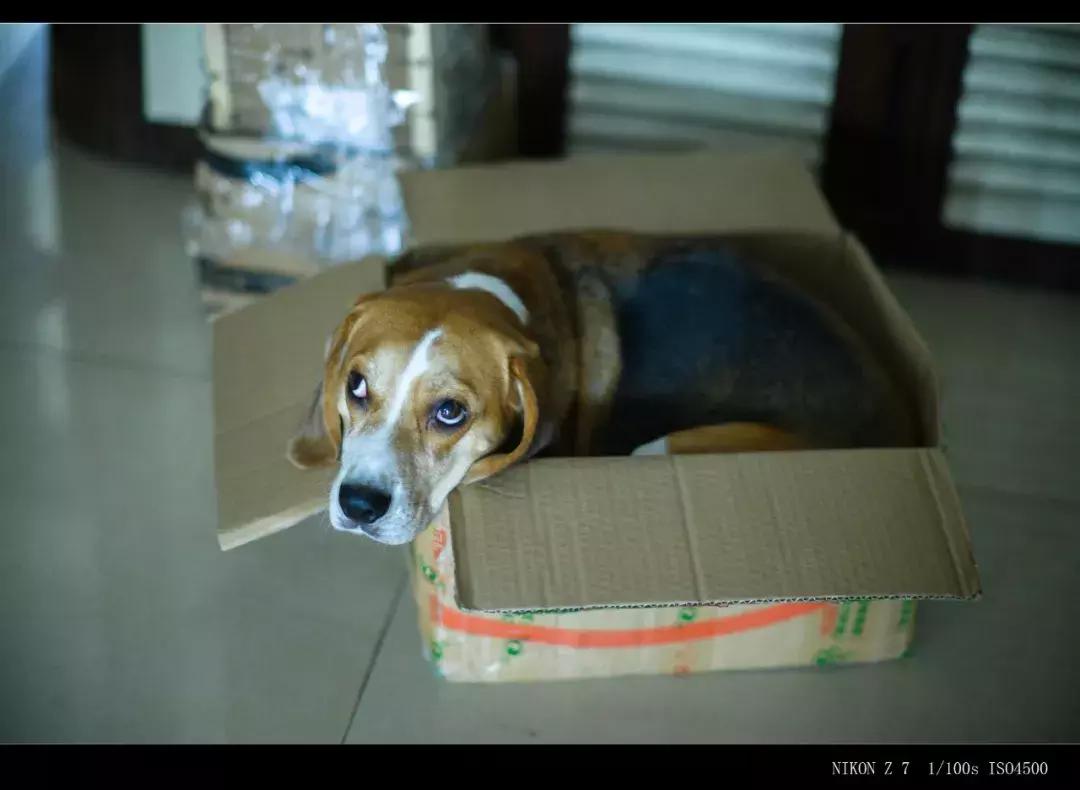 七工匠35mmf1.4和50mmf1.8,七工匠55mmf1.4价格