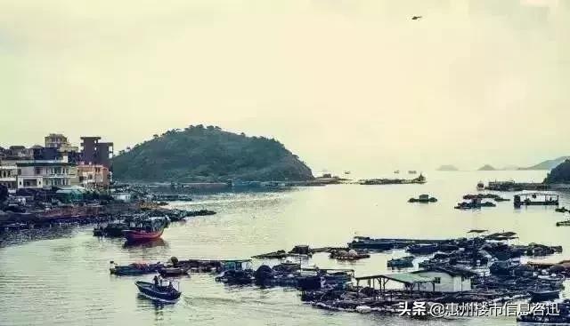 大亚湾怎么样了,你以为的大亚湾vs真正的大亚湾