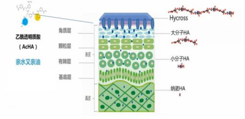 美丽田园元气肌,美丽田园胶原精华