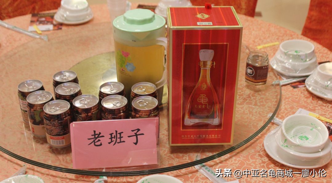 沙琅龟协会,沙琅乌龟协会